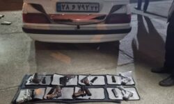 کشف محموله سلاح کمری غیر مجاز  در اندیمشک