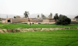 روستای جارو / نوشتاری از صادق یزدی