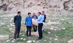 ” برد شیر ” میراثی گران بها ؛ که تاریخ ایل بختیاری را روایتگری می کند