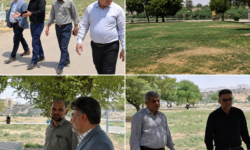 بازدیدهای فصلی یا مدیریتِ مستمر؛ مسئله این است